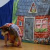 Teatrzyk dla dzieci "Przygody świnek"